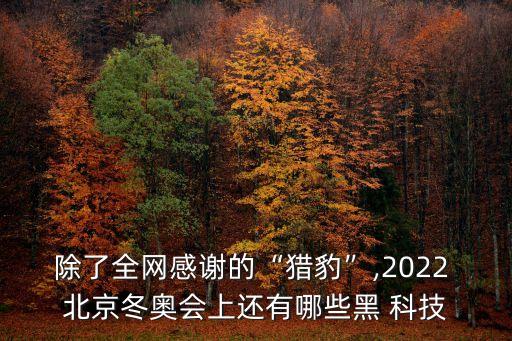 除了全網(wǎng)感謝的“獵豹”,2022 北京冬奧會(huì)上還有哪些黑 科技