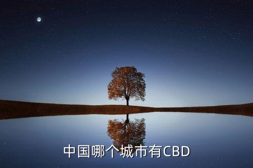 中國最好的cbd