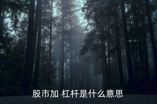 證券公司的杠桿