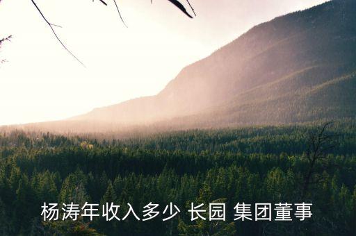 楊濤年收入多少 長(zhǎng)園 集團(tuán)董事