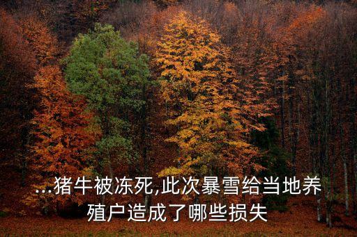 ...豬牛被凍死,此次暴雪給當(dāng)?shù)仞B(yǎng)殖戶(hù)造成了哪些損失