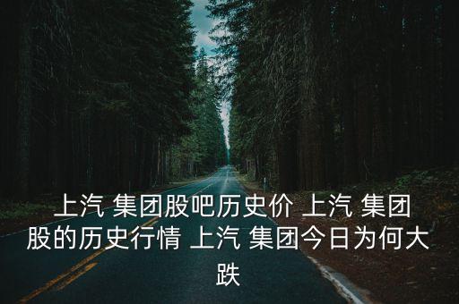  上汽 集團股吧歷史價 上汽 集團股的歷史行情 上汽 集團今日為何大跌