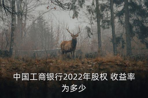 中國(guó)工商銀行2022年股權(quán) 收益率為多少