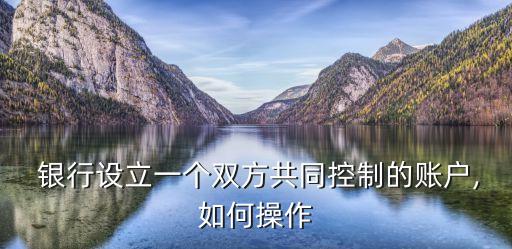  銀行設立一個雙方共同控制的賬戶,如何操作