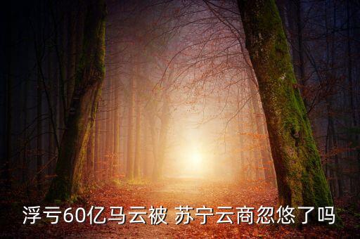 浮虧60億馬云被 蘇寧云商忽悠了嗎