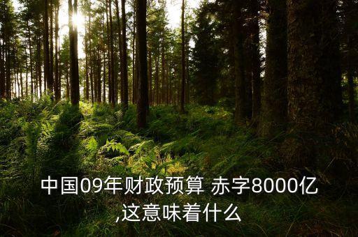 中國09年財政預(yù)算 赤字8000億,這意味著什么