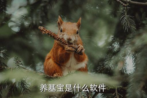 養(yǎng)基寶是什么軟件