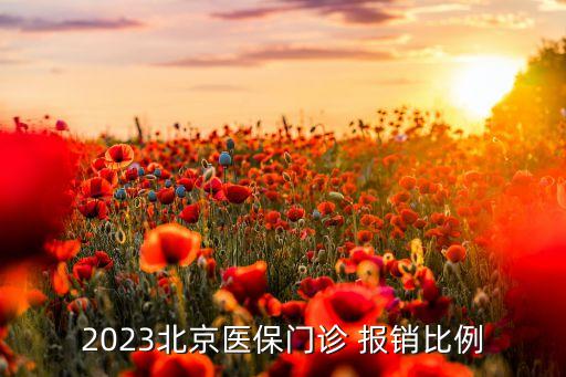 2023北京醫(yī)保門診 報(bào)銷比例