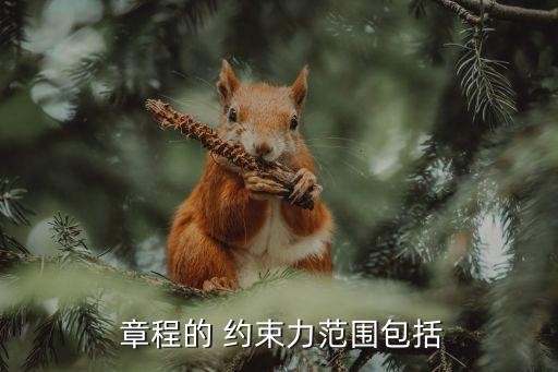 下列人員受公司章程約束的有,公司受公司章程約束嗎