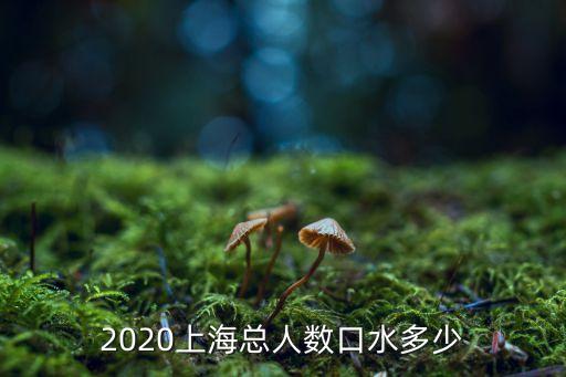 2020上?？?cè)藬?shù)口水多少