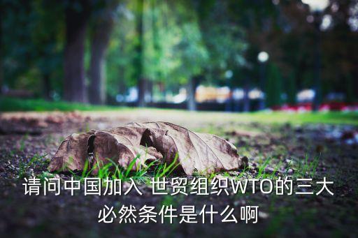 請(qǐng)問中國加入 世貿(mào)組織WTO的三大必然條件是什么啊