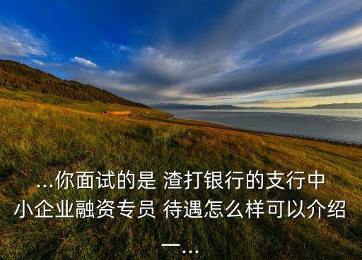 ...你面試的是 渣打銀行的支行中小企業(yè)融資專員 待遇怎么樣可以介紹一...