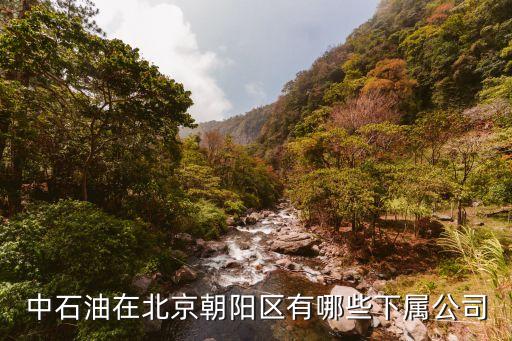 中石油在北京朝陽(yáng)區(qū)有哪些下屬公司