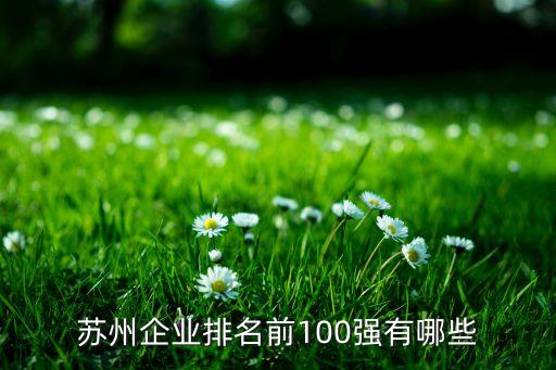 蘇州企業(yè)排名前100強(qiáng)有哪些