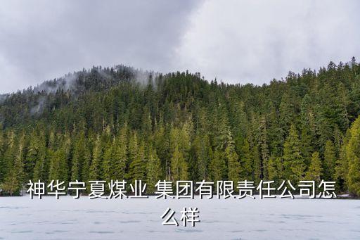  神華寧夏煤業(yè) 集團有限責(zé)任公司怎么樣