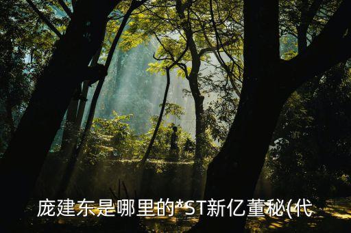 龐建東是哪里的*ST新億董秘(代