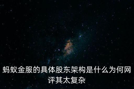 螞蟻金服的具體股東架構是什么為何網評其太復雜