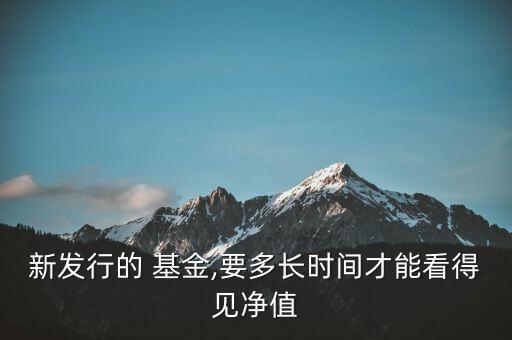 新發(fā)行的 基金,要多長時(shí)間才能看得見凈值