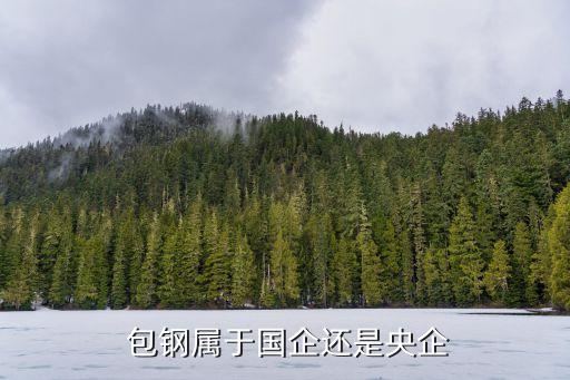 包鋼稀土國貿公司