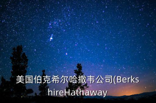 美國(guó)伯克希爾哈撒韋公司(BerkshireHathaway