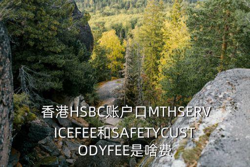  香港HSBC賬戶口MTHSERVICEFEE和SAFETYCUSTODYFEE是啥費