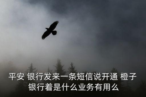 平安 銀行發(fā)來一條短信說開通 橙子 銀行著是什么業(yè)務(wù)有用么