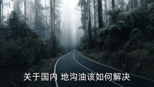 關于國內 地溝油該如何解決