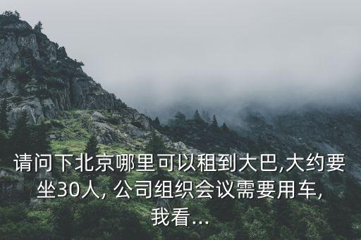 請問下北京哪里可以租到大巴,大約要坐30人, 公司組織會議需要用車,我看...