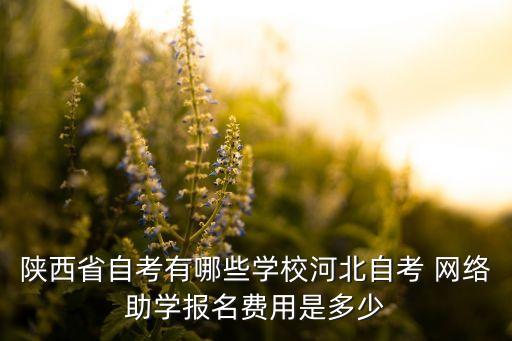 中國農(nóng)業(yè)銀行網(wǎng)絡課堂