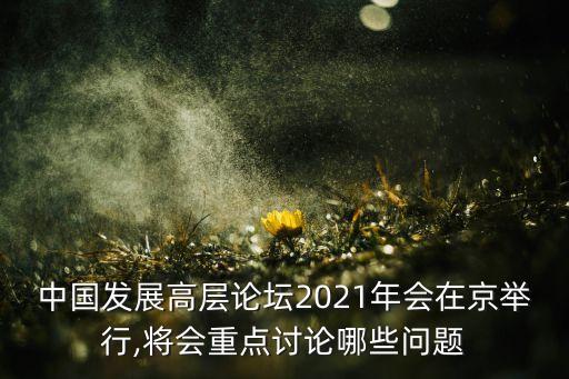 中國發(fā)展高層論壇2021年會在京舉行,將會重點(diǎn)討論哪些問題