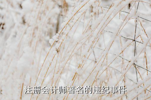 注冊(cè)會(huì)計(jì)師著名的違紀(jì)事件