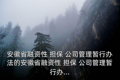 安徽省融資性 擔(dān)保 公司管理暫行辦法的安徽省融資性 擔(dān)保 公司管理暫行辦...