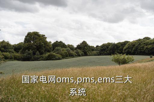 國(guó)家電網(wǎng)oms,pms,ems三大 系統(tǒng)