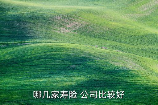 哪幾家壽險(xiǎn) 公司比較好