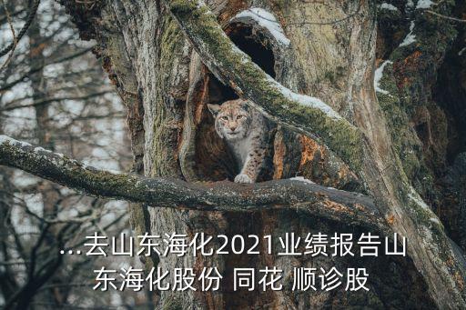 ...去山東海化2021業(yè)績報(bào)告山東?；煞?同花 順診股