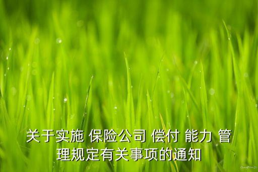 保險(xiǎn)公司償付能力管理規(guī)定