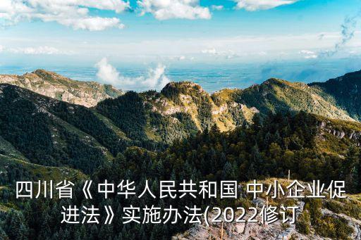 四川省《中華人民共和國(guó) 中小企業(yè)促進(jìn)法》實(shí)施辦法(2022修訂