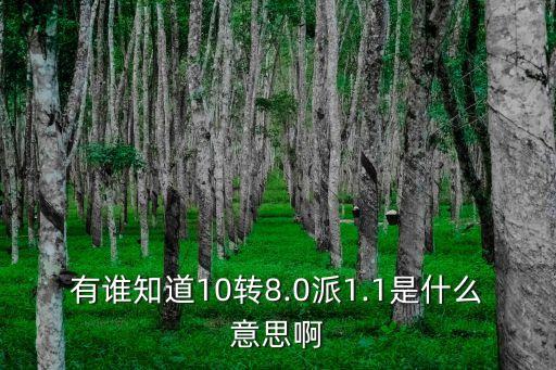 有誰知道10轉(zhuǎn)8.0派1.1是什么意思啊