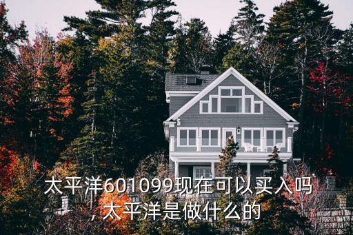  太平洋601099現(xiàn)在可以買入嗎, 太平洋是做什么的