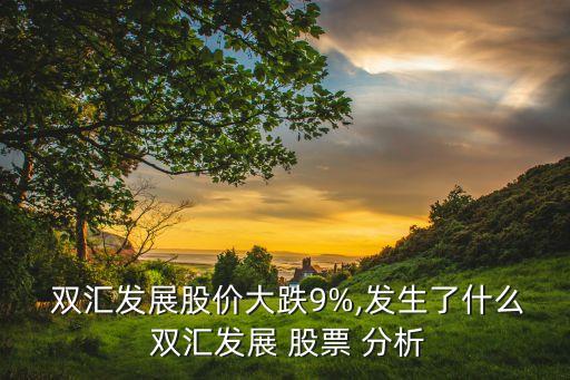  雙匯發(fā)展股價大跌9%,發(fā)生了什么 雙匯發(fā)展 股票 分析