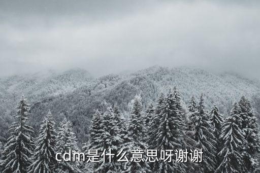 cdm是什么意思呀謝謝