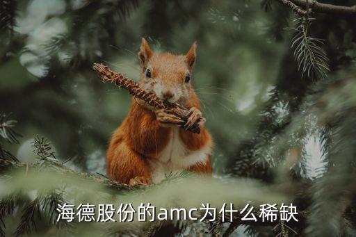 海德股份的amc為什么稀缺