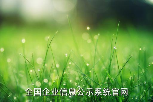 全國(guó)企業(yè)信息公示系統(tǒng)官網(wǎng)