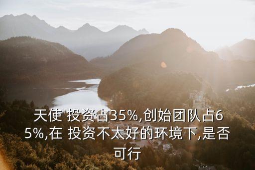  天使 投資占35%,創(chuàng)始團(tuán)隊占65%,在 投資不太好的環(huán)境下,是否可行