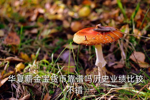 華夏基金管理有限公司年報,農(nóng)銀匯理基金管理有限公司年報