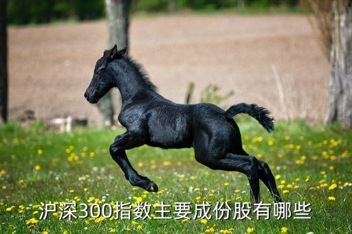 滬深300指數(shù)主要成份股有哪些