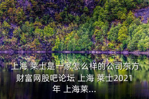  上海 萊士是一家怎么樣的公司東方財富網股吧論壇 上海 萊士2021年 上海萊...