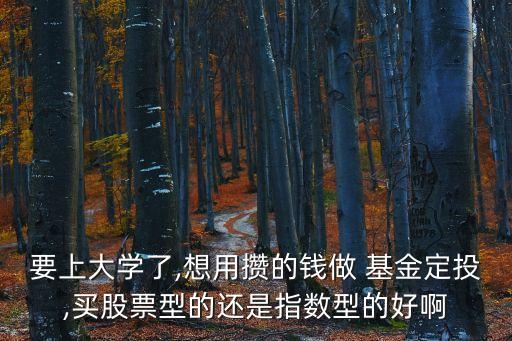 要上大學(xué)了,想用攢的錢(qián)做 基金定投,買(mǎi)股票型的還是指數(shù)型的好啊