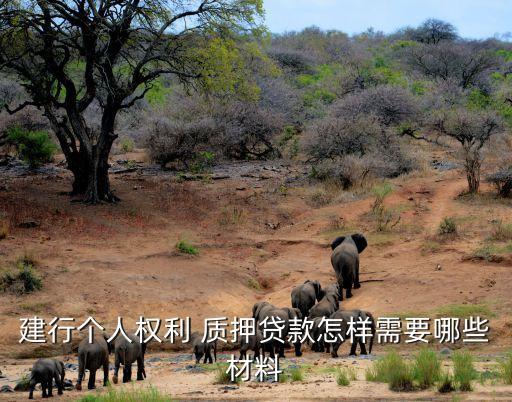 建行個(gè)人權(quán)利 質(zhì)押貸款怎樣需要哪些材料