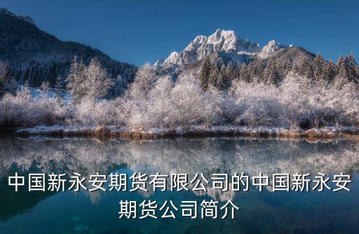 中國新永安期貨有限公司的中國新永安期貨公司簡介